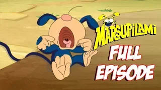 Bobo Leaves Home - Marsupilami FULL EPISODE  - Season 2 - Episode 17