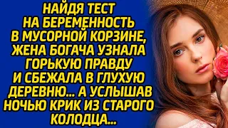 Найдя тест на беременность в мусорной корзине, жена богача узнала горькую правду и сбежала в глухую.