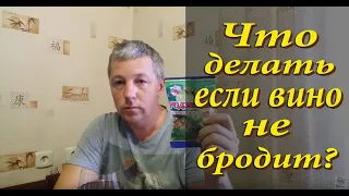 Что делать если вино не бродит? / Как запустить брожение вина!