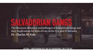 The Structure, Behavior, and Influence of Salvadorian Gangs: Part 2