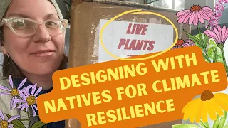 Designing with Native Plants for Climate-Resilient Flower Borders