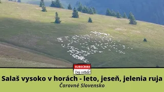 Salaš vysoko v horách - leto, jeseň, jelenia ruja 🐑🗻🐑 🍀🇸🇰 Čarovné Slovensko 🇸🇰🍀