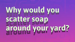 Why would you scatter soap around your yard?