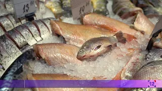 Як обрати якісну рибу в магазині? | Як це працює