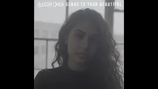 Alessia Cara - Scars to Your Beautiful (Vocals Only/Acapella)