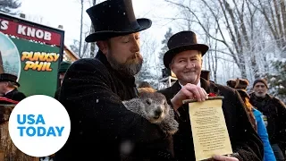 Groundhog Phil predicts early spring | USA TODAY