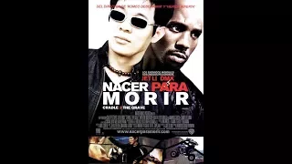 Jet Li : Nacer para morir (2003) 1080p, 720p  Latino, Ingles MEGA