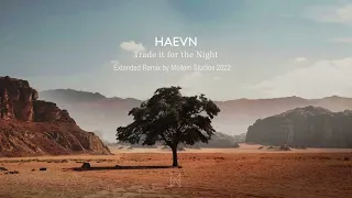 HAEVN - Trade it for the Night [Unofficial Extended Remix] - LYRICS in CC