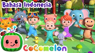 Lagu Tarian Hewn | CoComelon Bahasa Indonesia - Lagu Anak Anak