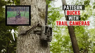 3 Ways To Pattern Bucks Using Trail Cameras