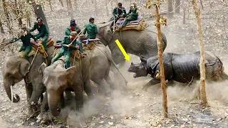 Rhino in Action. How It Destroys Elephants, Hippos and Lions.
