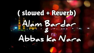 Alam bardar noha slowed+reverb || Abbas ka nara noha slowed+reverb || allazadarivideo