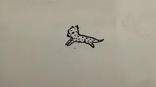 Cheetah Running | Put Together | Stop Motion Animation + Video Editing