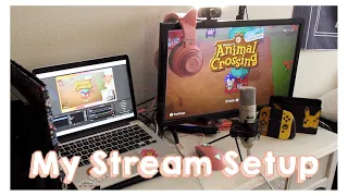 How I Stream 🌼 (Switch Streaming Setup)