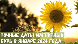 Точные даты магнитных бурь в январе 2024 года