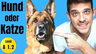 Top 10 German Pets | Germans favorite pet? | Learn animals in German | YourGermanTeacher