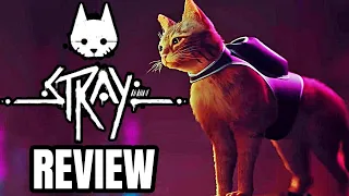 STRAY Review - The Final Verdict
