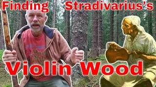 Finding Stradivariu's Wood 🪓 🪵! I go to Italy to the forest where Stradivarius got his tonewoods.