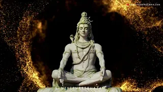 🌺Om Namah Shivaya 1008 Time