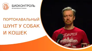 💉 Портокавальный шунт у собак и кошек - диагностика и лечение. Портокавальный шунт. Биоконтроль. 18+