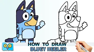 How to Draw Bluey Heeler from Bluey TV Series