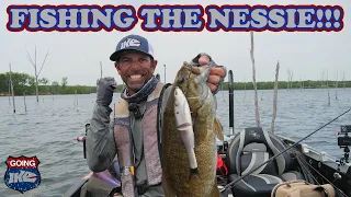 Unleash the Power of the Berkley PowerBait Nessie!!! Big Fish Catches!!!