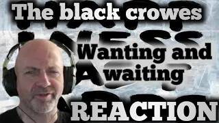 The black crowes - Wanting and waiting REACTION