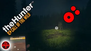 Hunting animals at NIGHT in theHunter: Call of the Wild
