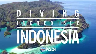 Diving Incredible Indonesia 🐠