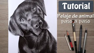 How to draw a dog - How to draw fur
