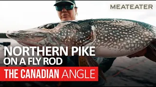 Northern Pike on a Fly Rod | The Canadian Angle