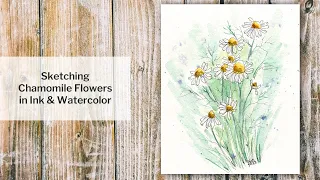 Chamomile Flowers in Ink and Watercolor (time lapse)