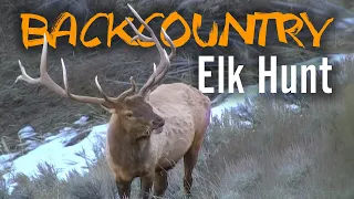 BIG Wilderness Bulls -  Elk Hunting with Guy Eastman