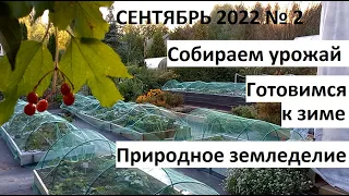 Сентябрь 2022 №2. Осень в природном земледелии. Собираем урожай и готовимся к зиме.