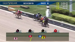 Gulfstream Park Replay Show | August 31, 2019