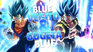 TOP TIER SUPER ATTACKS! NEW LR BLUE GOGETA & VEGITO BLUE SA ANIMATIONS| DBZ Dokkan Battle