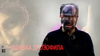 Ошибка дрозофила или Искусство за углом. feat. Prolegarium