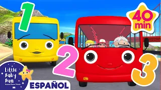 Aprende a contar los autobuses |🚌 Caricaturas de autobuses 🚌| Canciones infantiles | LBB Español