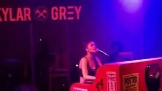 Skylar Grey - Coming Home, I Need a Doctor, Love the Way You Lie (Live)