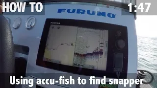 Using Accu-fish to Find Snapper