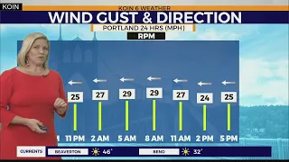 WEATHER FORECAST: Bitterly cold & windy tonight