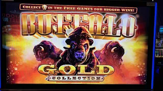 Free Play Friday: Buffalo Gold Collection Edition!