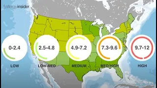 Top 4 Common FAQs about Pollen Count | Allergy Insider