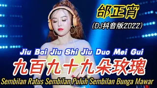 邰正宵 - 九百九十九朵玫瑰 (抖音DJ版2022) Jiu Bai Jiu Shi Jiu Duo Mei Gui【999 Bunga Mawar / 999 Roses】- Terjemahan