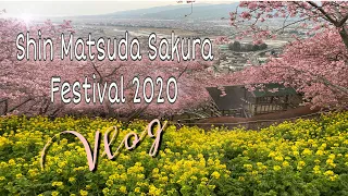 Shin Matsuda Sakura Festival 2020 Vlog