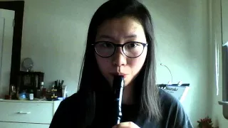 Hips Don't Lie recorder cover