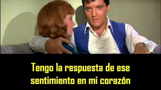 ELVIS PRESLEY - Could I fall in love ( con subtitulos en español )  BEST SOUND