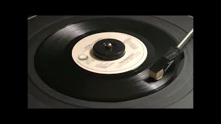 Donna Summer ~ "The Wanderer" vinyl 45 rpm (1980)