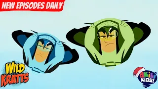 Wild Kratts | Falcon City | Akili Kids!