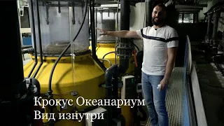 Океанариум изнутри  Чего вы никогда не видели